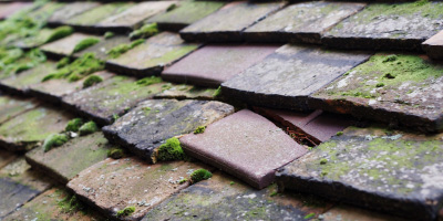 Lisvane roof repair costs